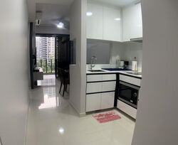 Parc Botannia (D28), Condominium #567974951